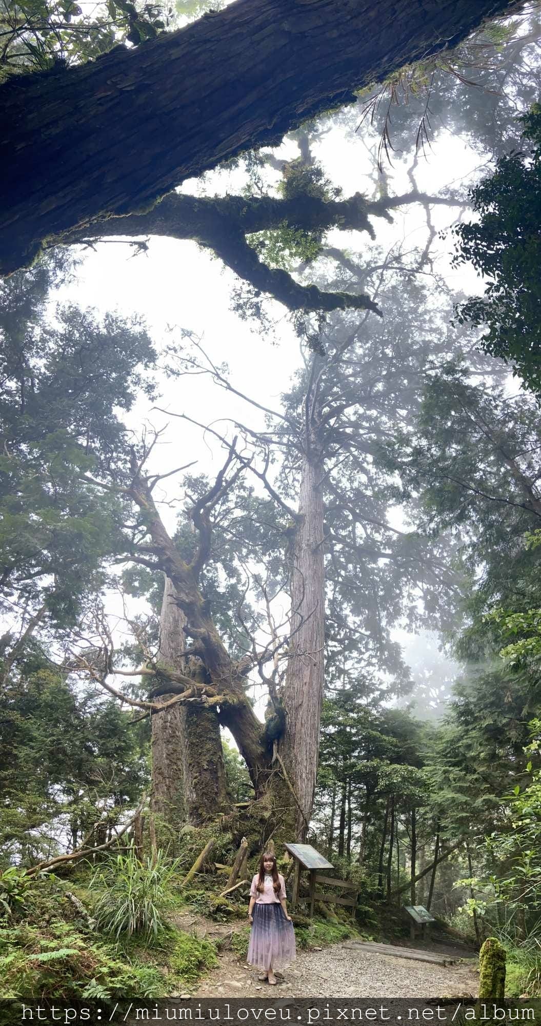 IMG_0319_副本.jpg IMG_0319_副本.jpg