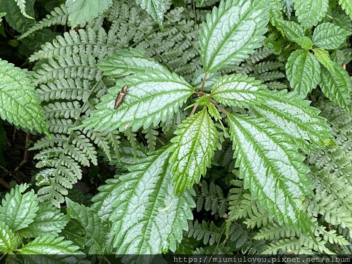 IMG_0144_副本.jpg IMG_0144_副本.jpg