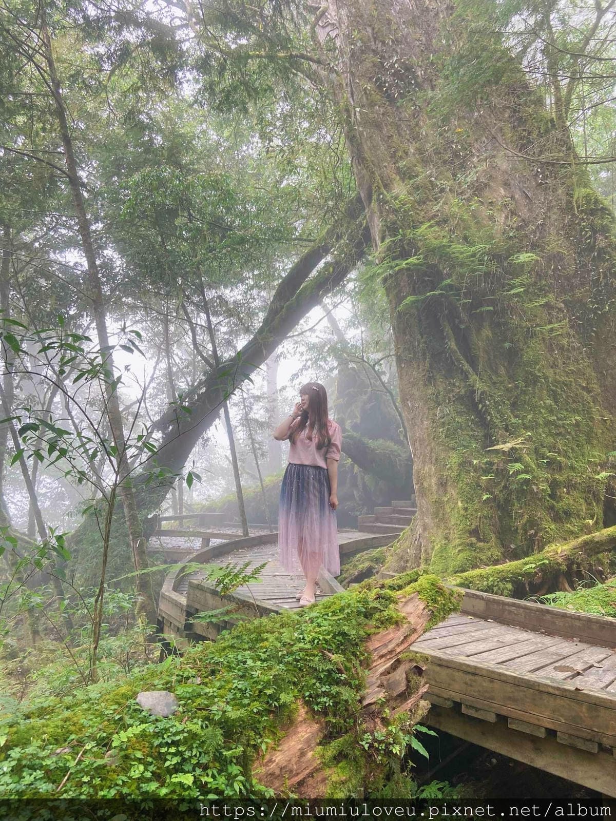 IMG_0293_副本.jpg IMG_0293_副本.jpg