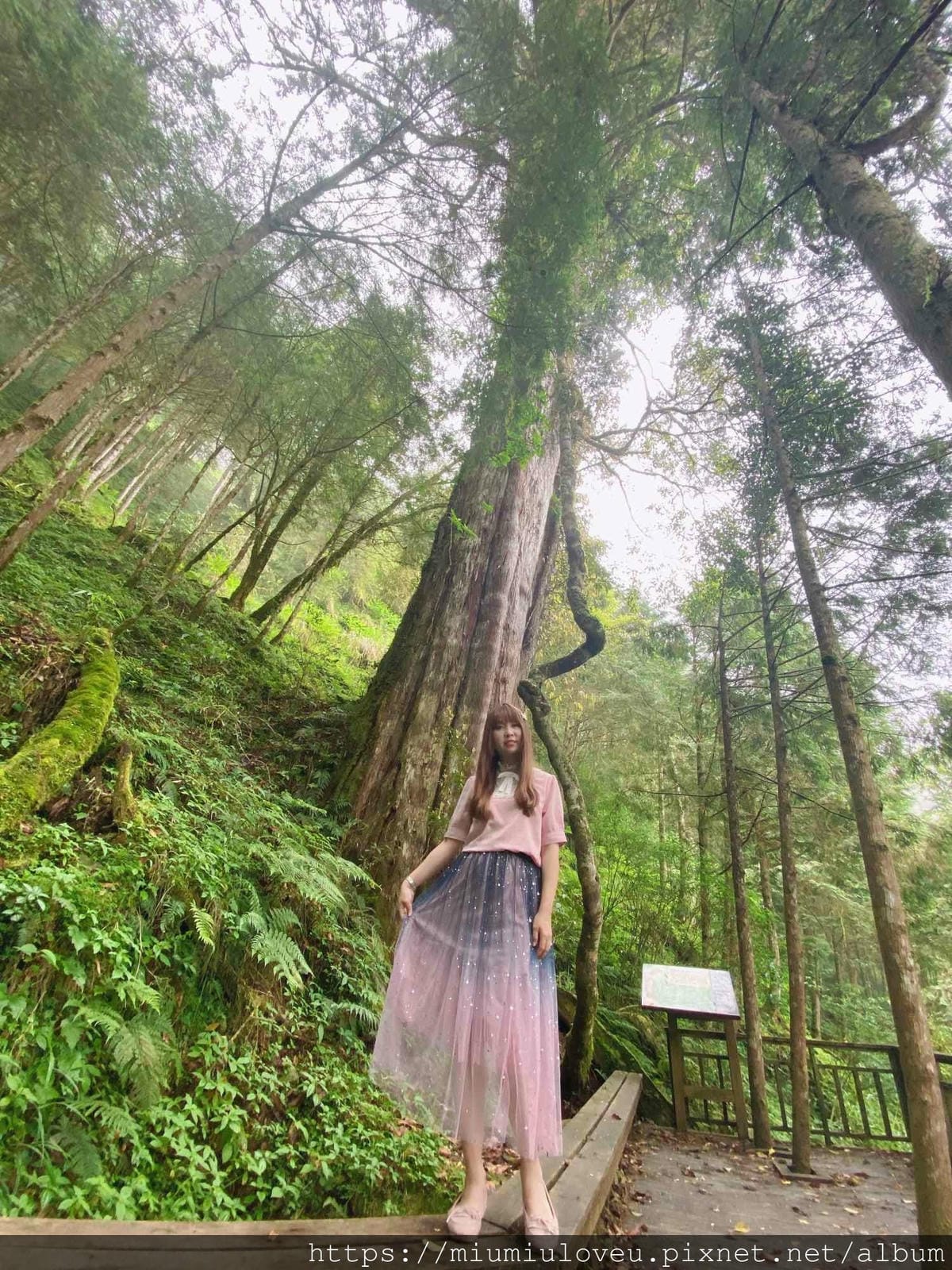 IMG_0200_副本.jpg IMG_0200_副本.jpg