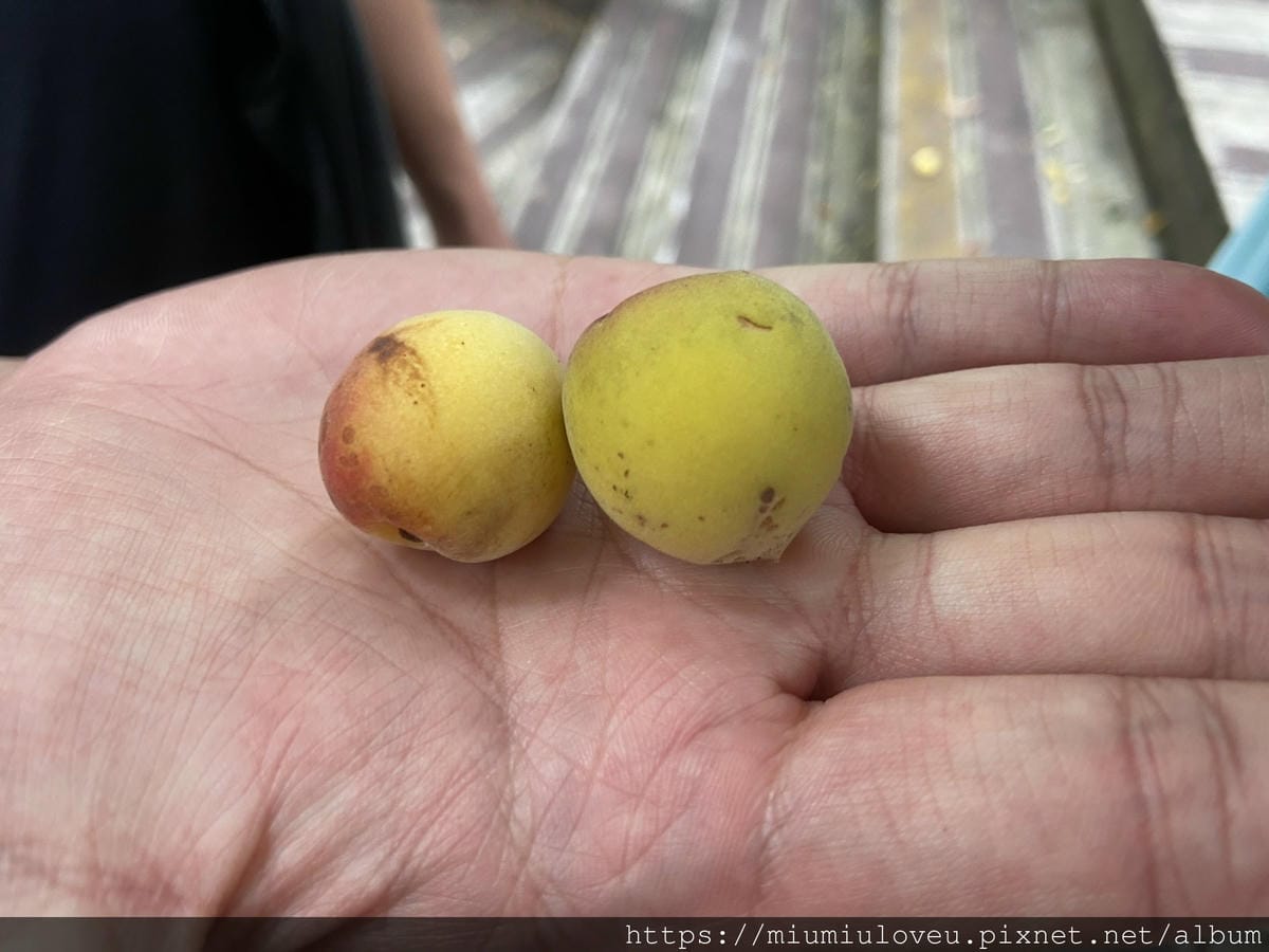 IMG_0604_副本.jpg IMG_0604_副本.jpg