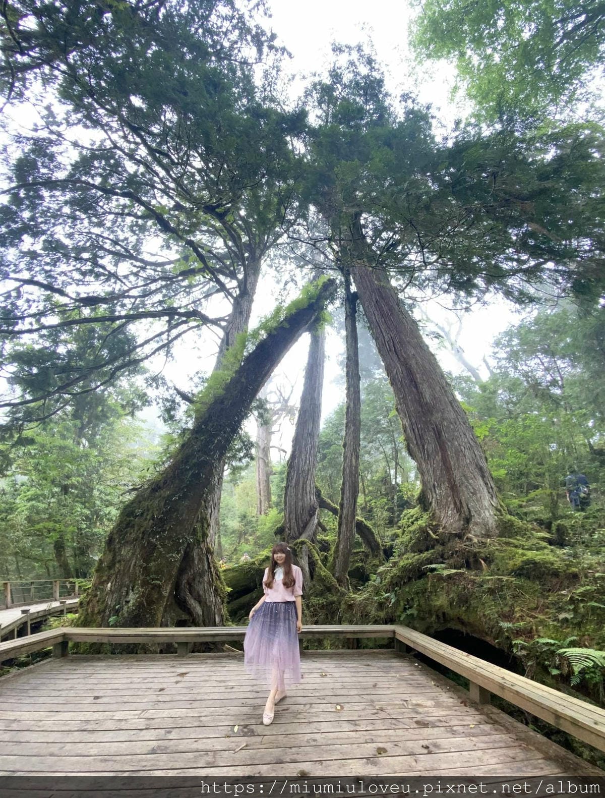 IMG_0307_副本.jpg IMG_0307_副本.jpg