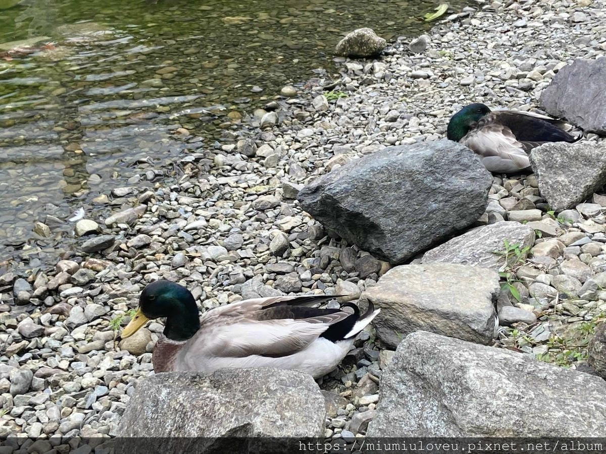 IMG_0452_副本.jpg IMG_0452_副本.jpg