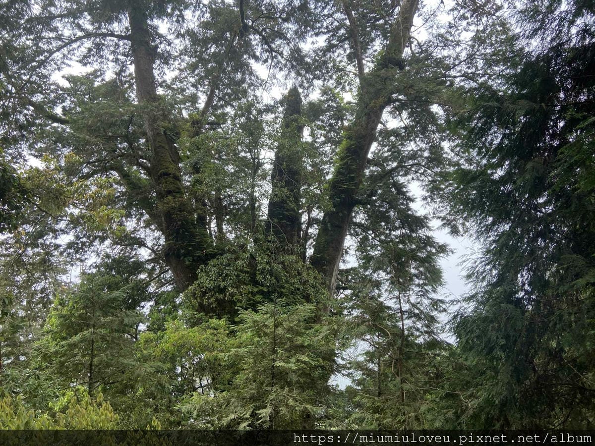 IMG_0179_副本.jpg IMG_0179_副本.jpg