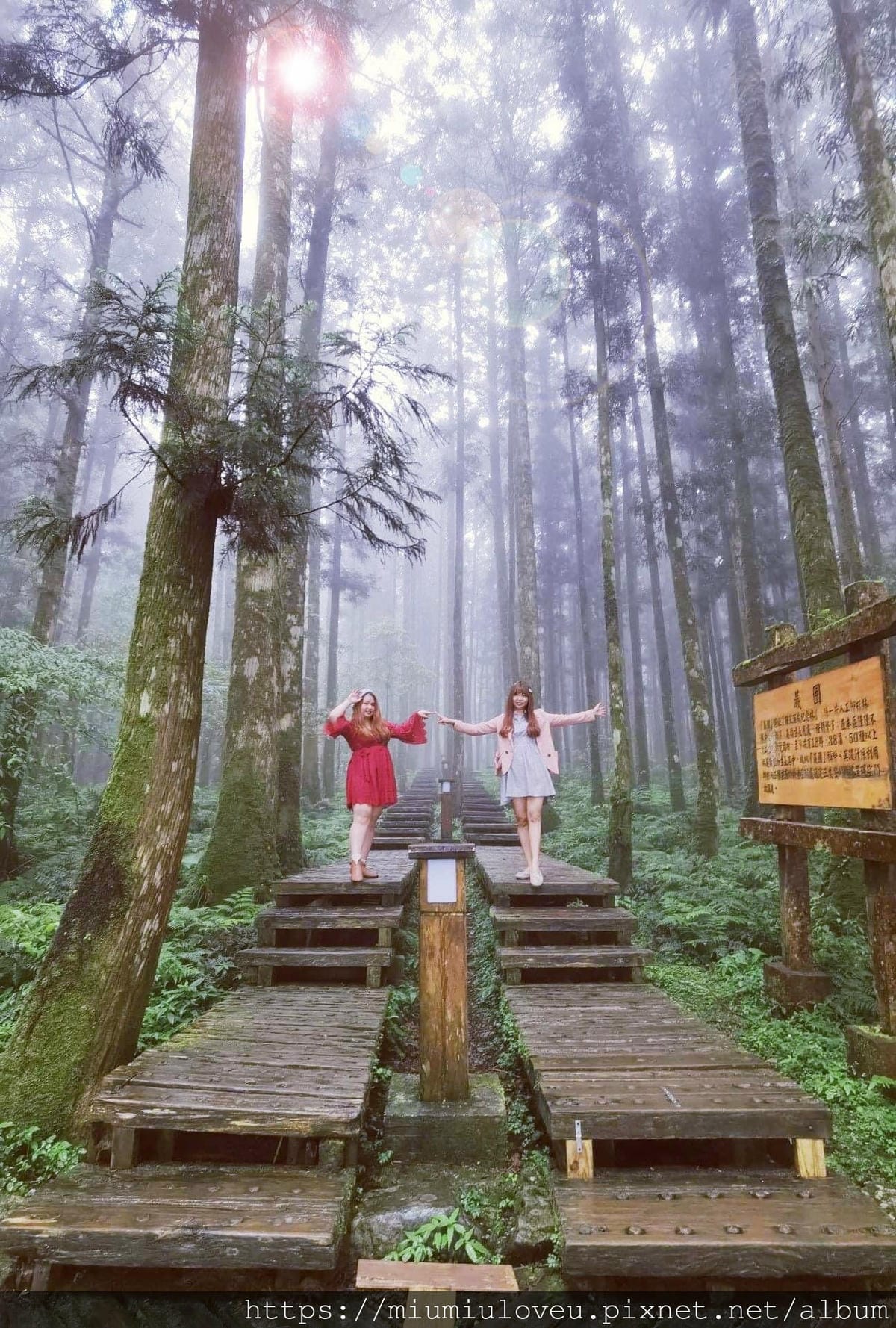 IMG_0055_副本.jpg IMG_0055_副本.jpg