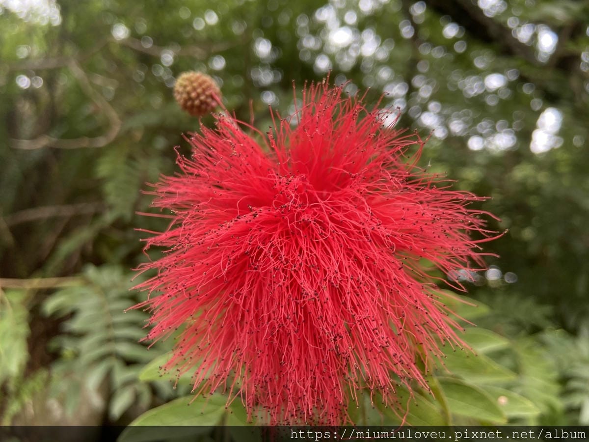 IMG_0608_副本.jpg IMG_0608_副本.jpg