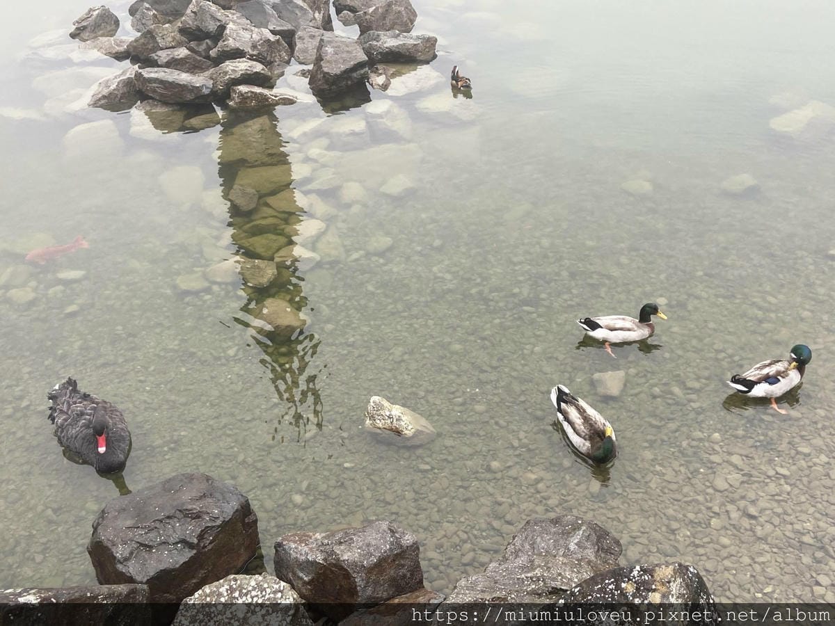 IMG_9829_副本.jpg IMG_9829_副本.jpg