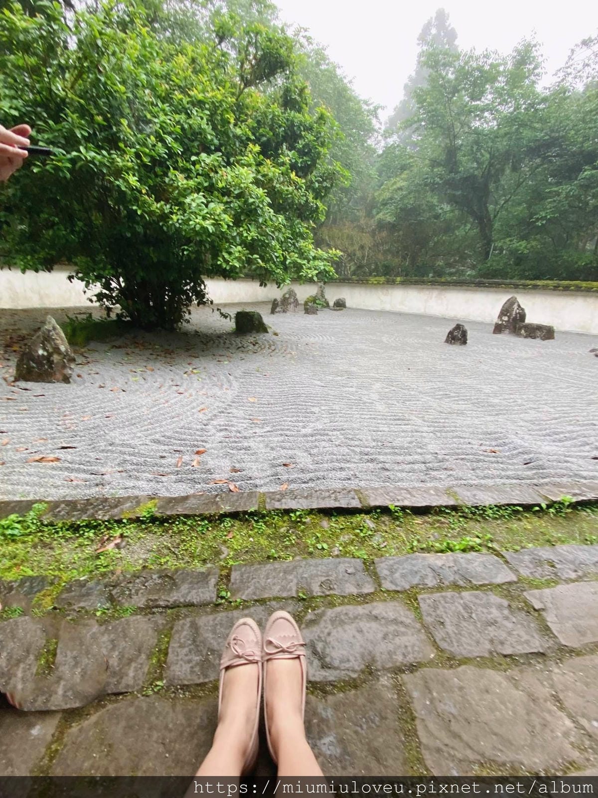 IMG_9780_副本.jpg IMG_9780_副本.jpg