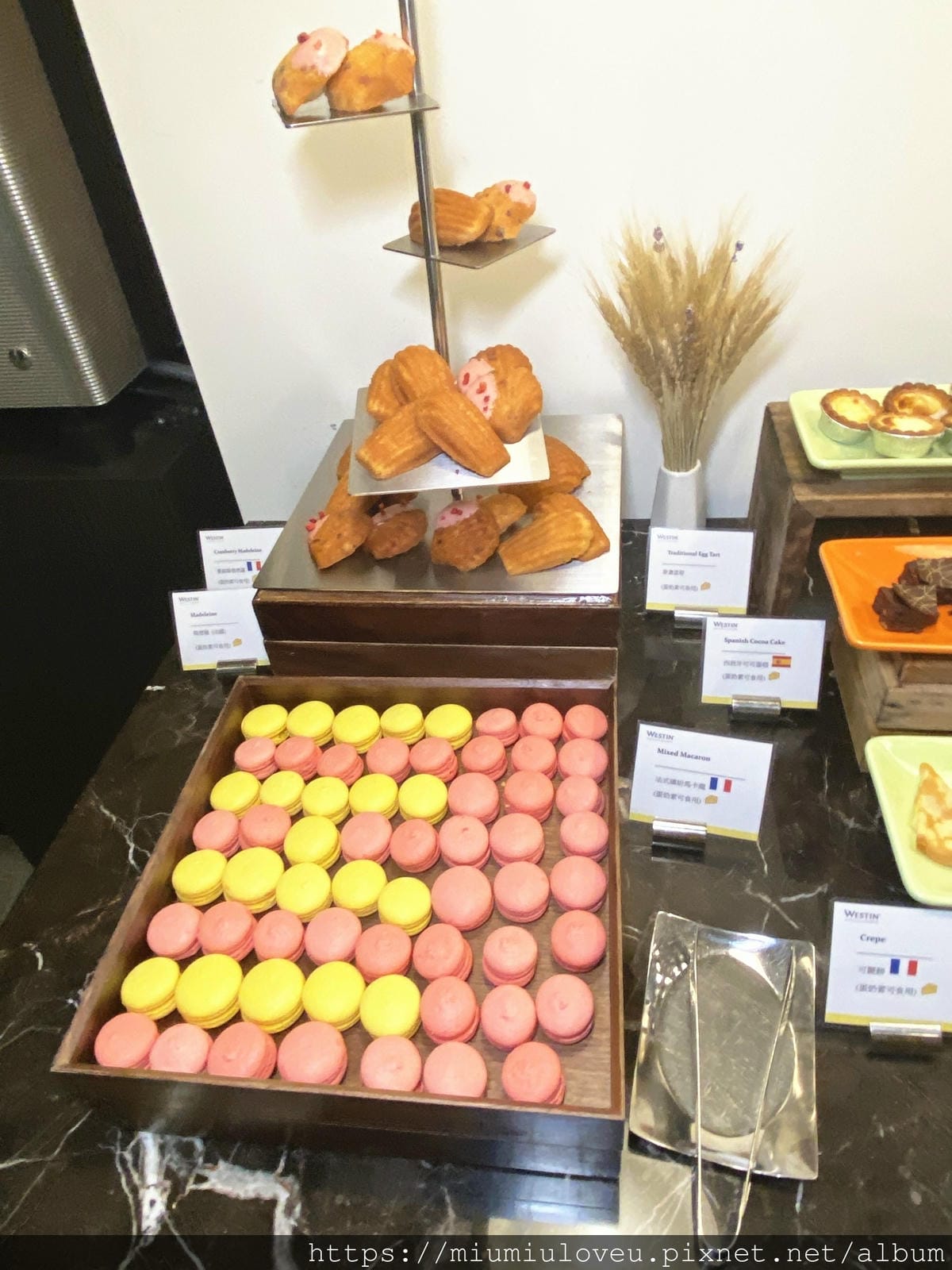 IMG_0885_副本.jpg IMG_0885_副本.jpg