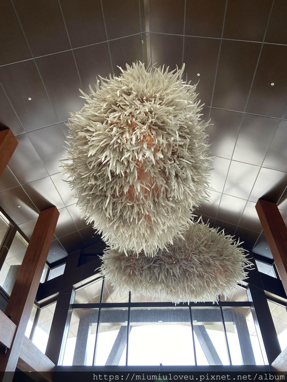 IMG_1311_副本.jpg IMG_1311_副本.jpg