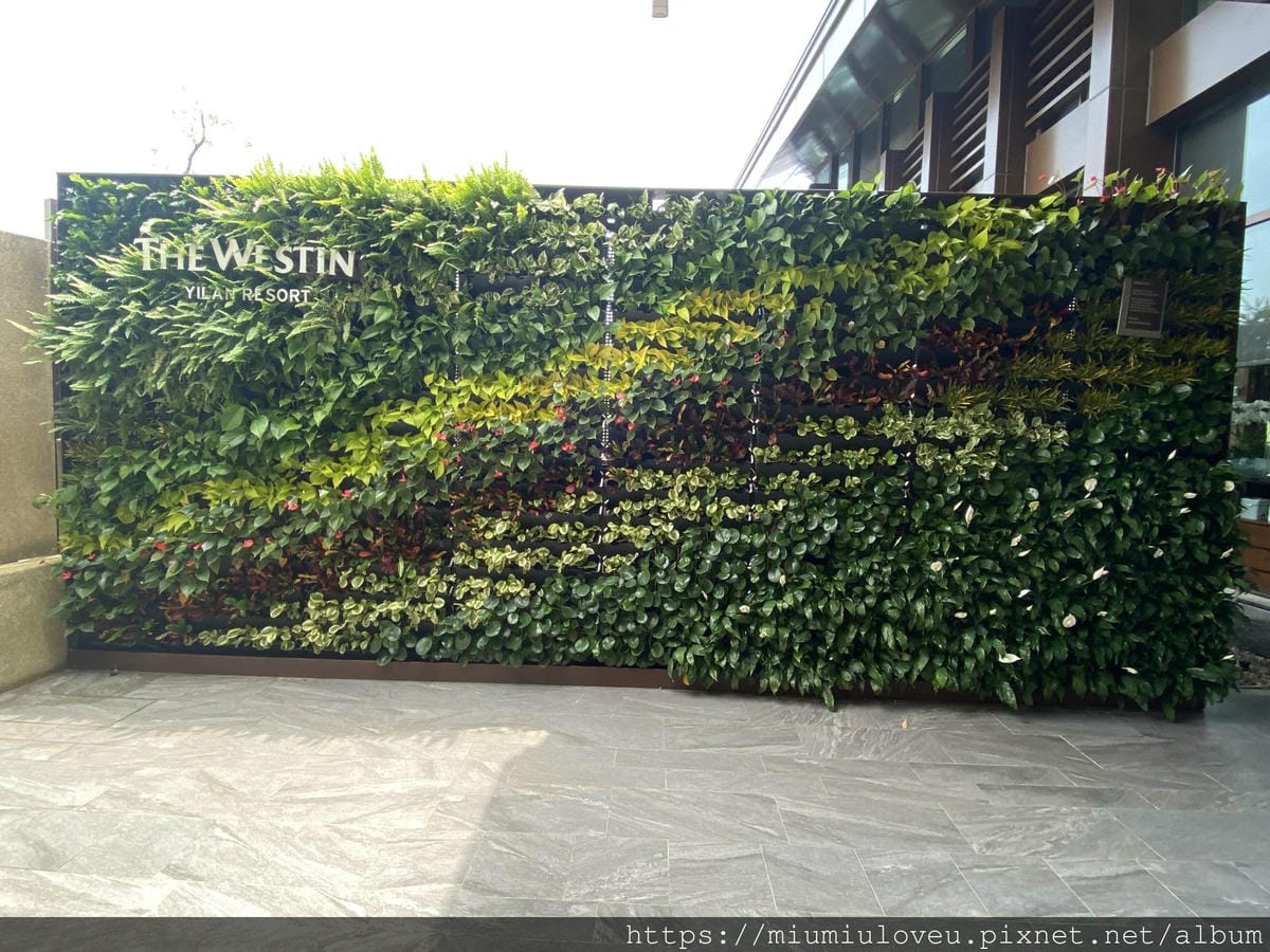 IMG_1321_副本.jpg IMG_1321_副本.jpg