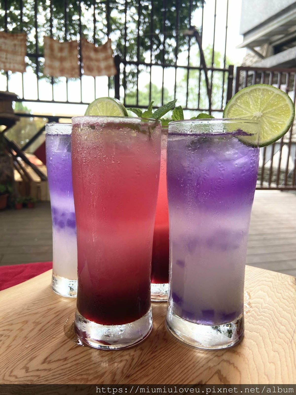 IMG_6137_副本.jpg IMG_6137_副本.jpg