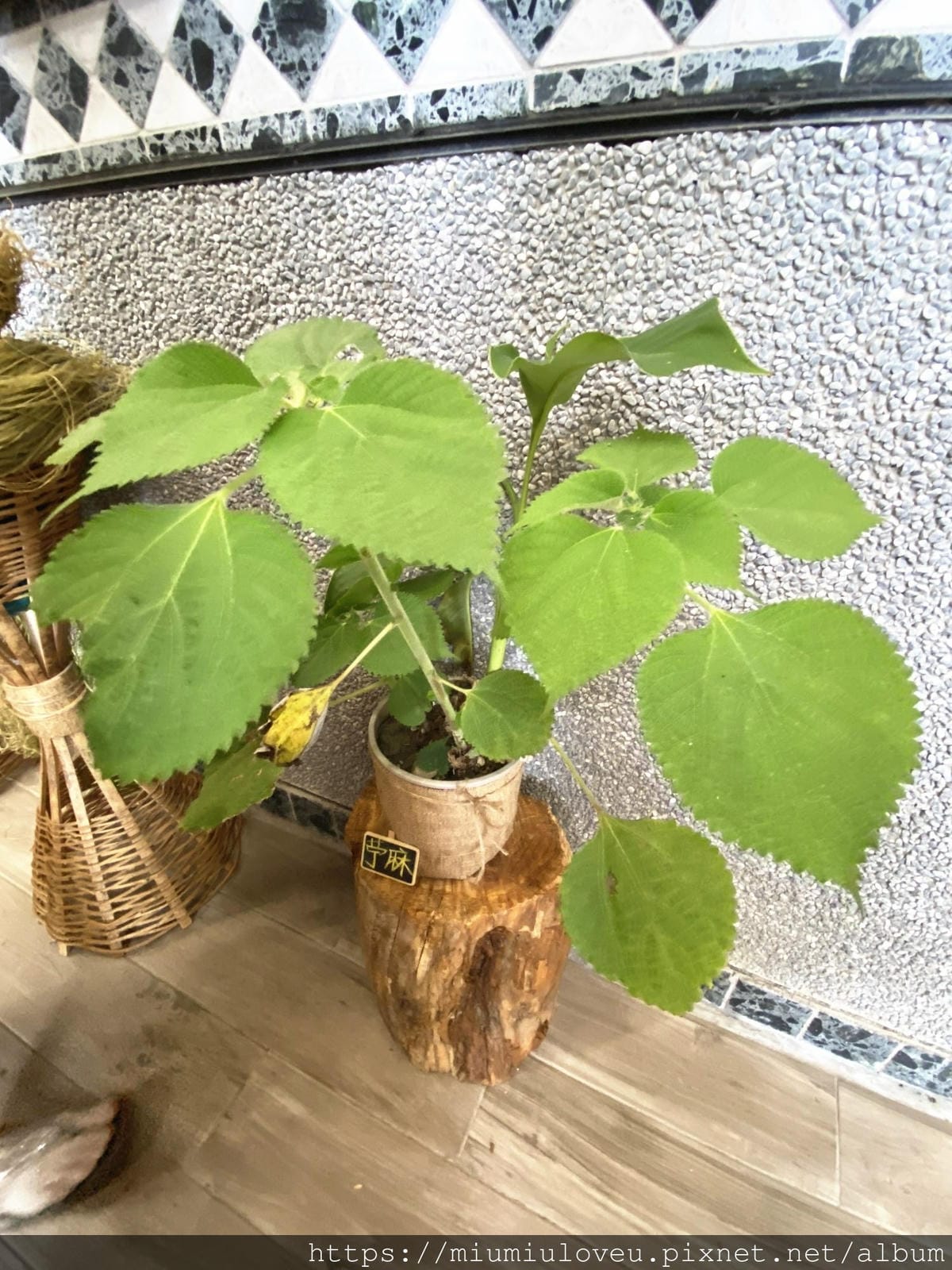 IMG_6199_副本.jpg IMG_6199_副本.jpg