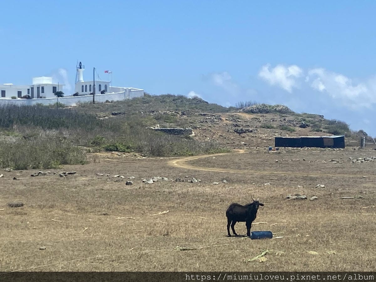 IMG_4808_副本.jpg IMG_4808_副本.jpg