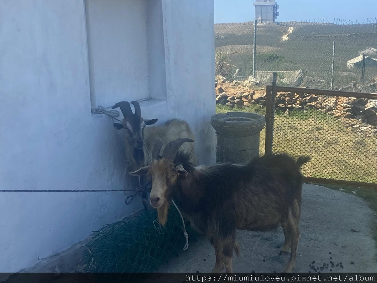 IMG_4622_副本.jpg IMG_4622_副本.jpg