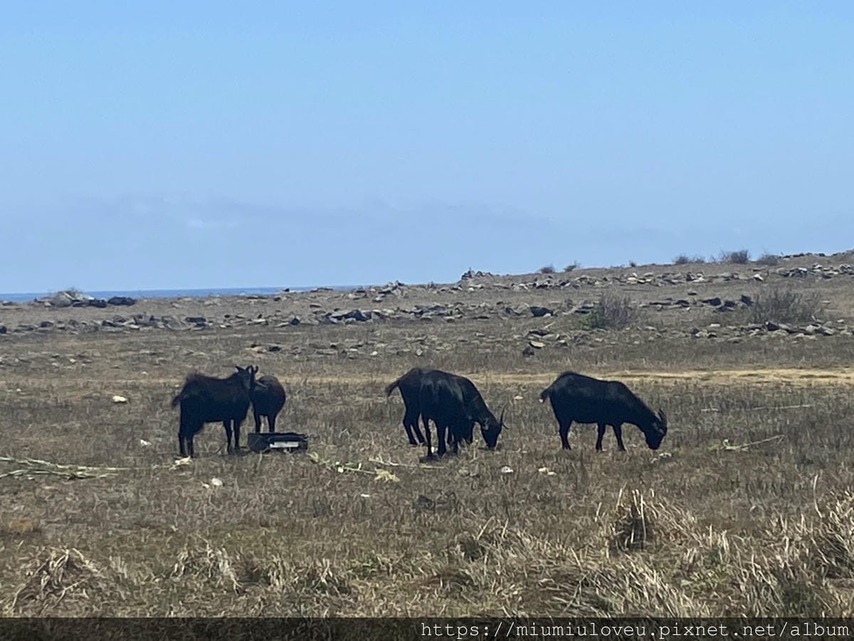 IMG_4805_副本.jpg IMG_4805_副本.jpg