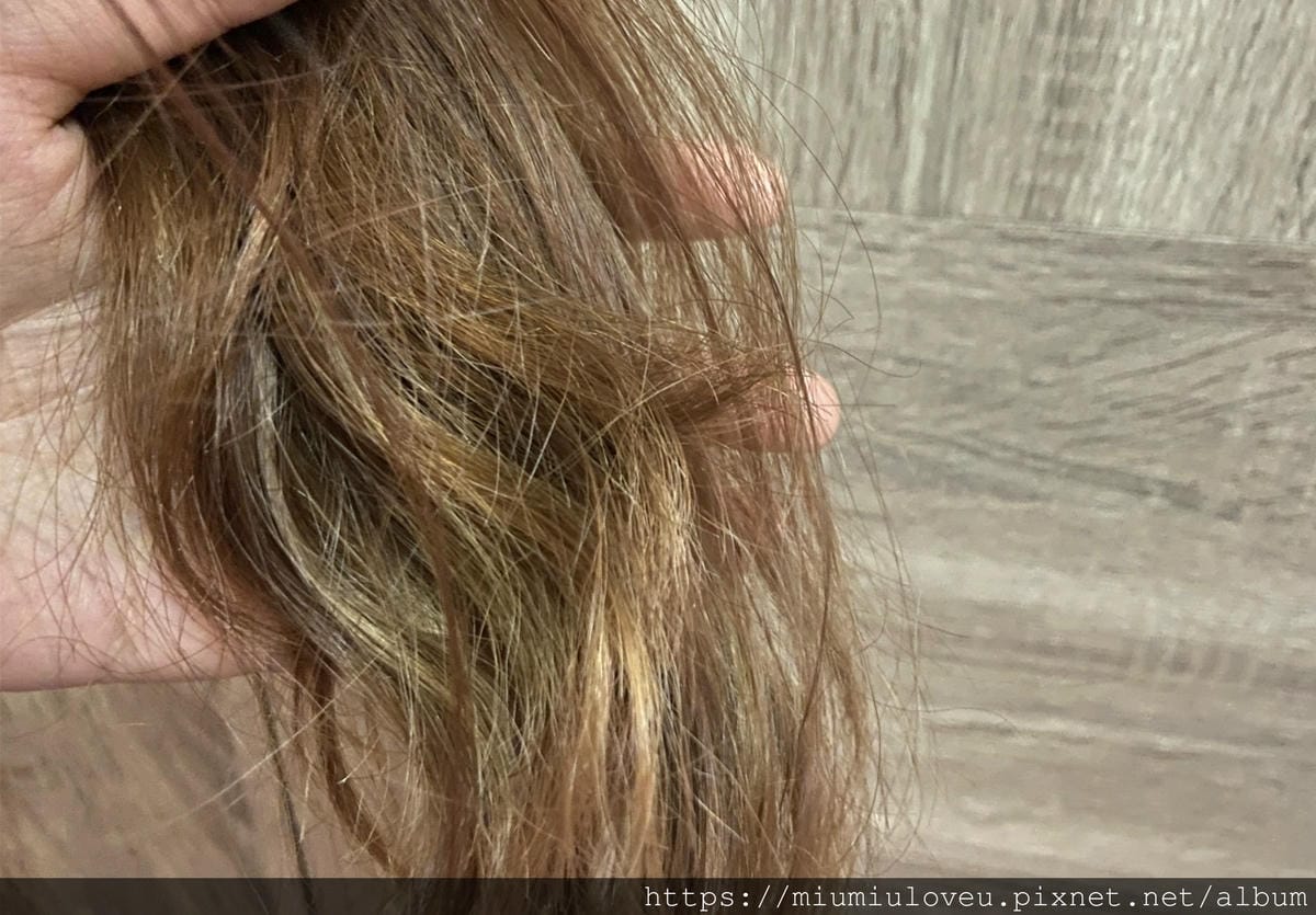 IMG_8321_副本.jpg IMG_8321_副本.jpg