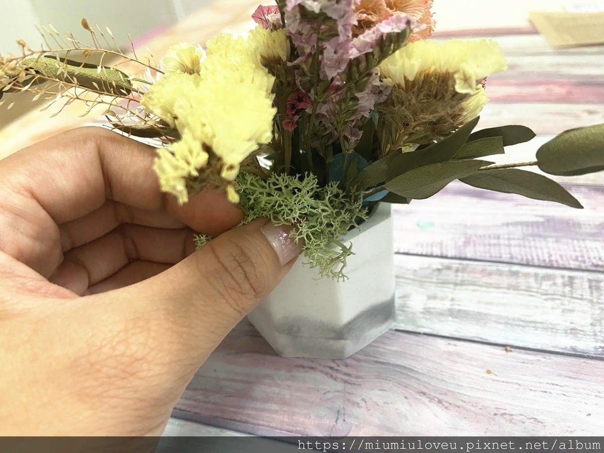 IMG_9147_副本.jpg IMG_9147_副本.jpg