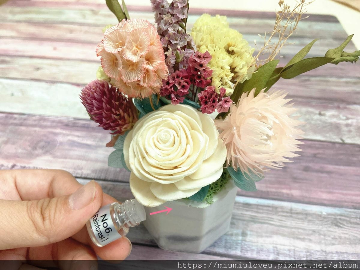 IMG_9153_副本.jpg IMG_9153_副本.jpg