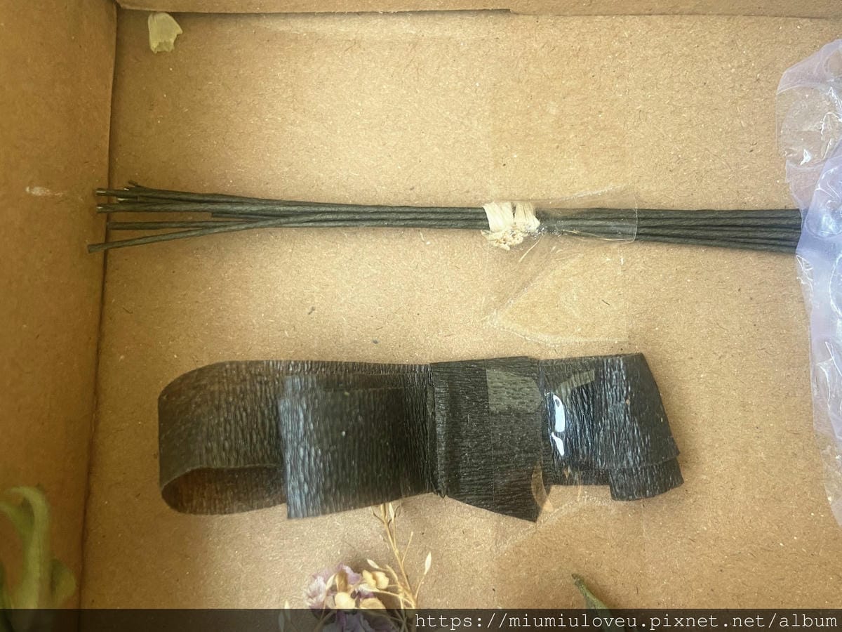 IMG_8981_副本.jpg IMG_8981_副本.jpg