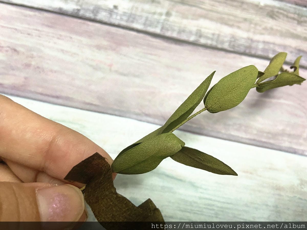 IMG_9141_副本.jpg IMG_9141_副本.jpg