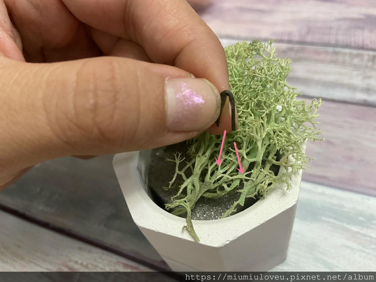 IMG_9144_副本.jpg IMG_9144_副本.jpg