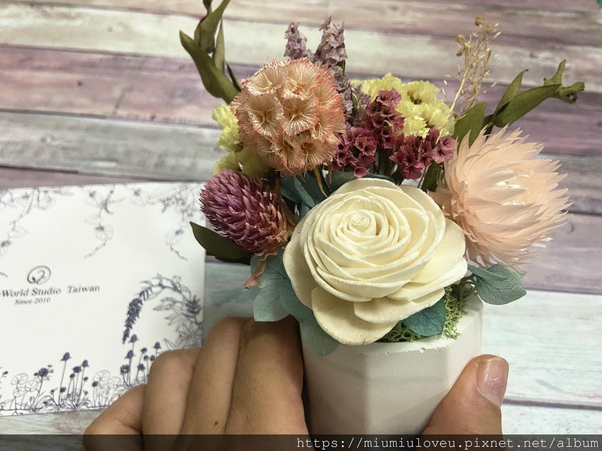 IMG_9150_副本.jpg IMG_9150_副本.jpg