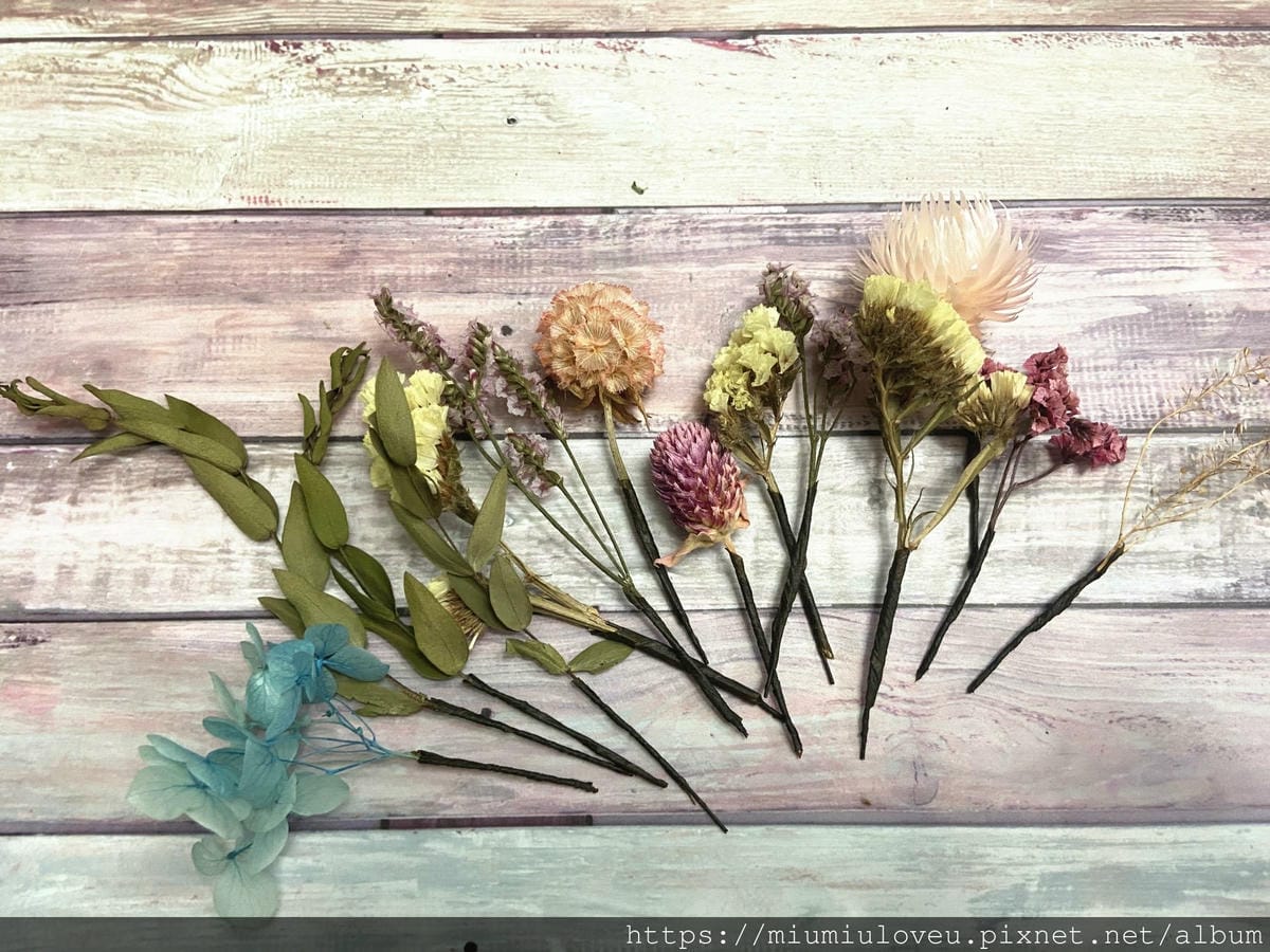 IMG_9145_副本.jpg IMG_9145_副本.jpg