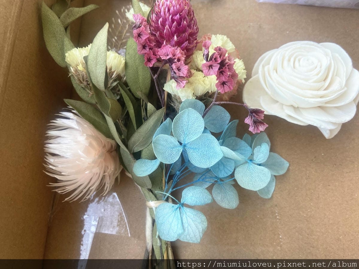 IMG_8980_副本.jpg IMG_8980_副本.jpg