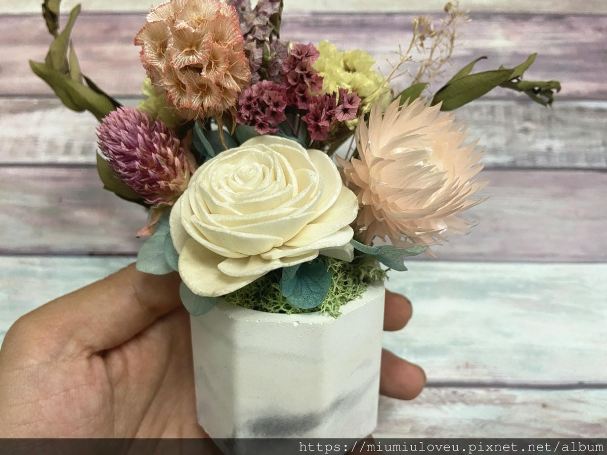 IMG_9149_副本.jpg IMG_9149_副本.jpg