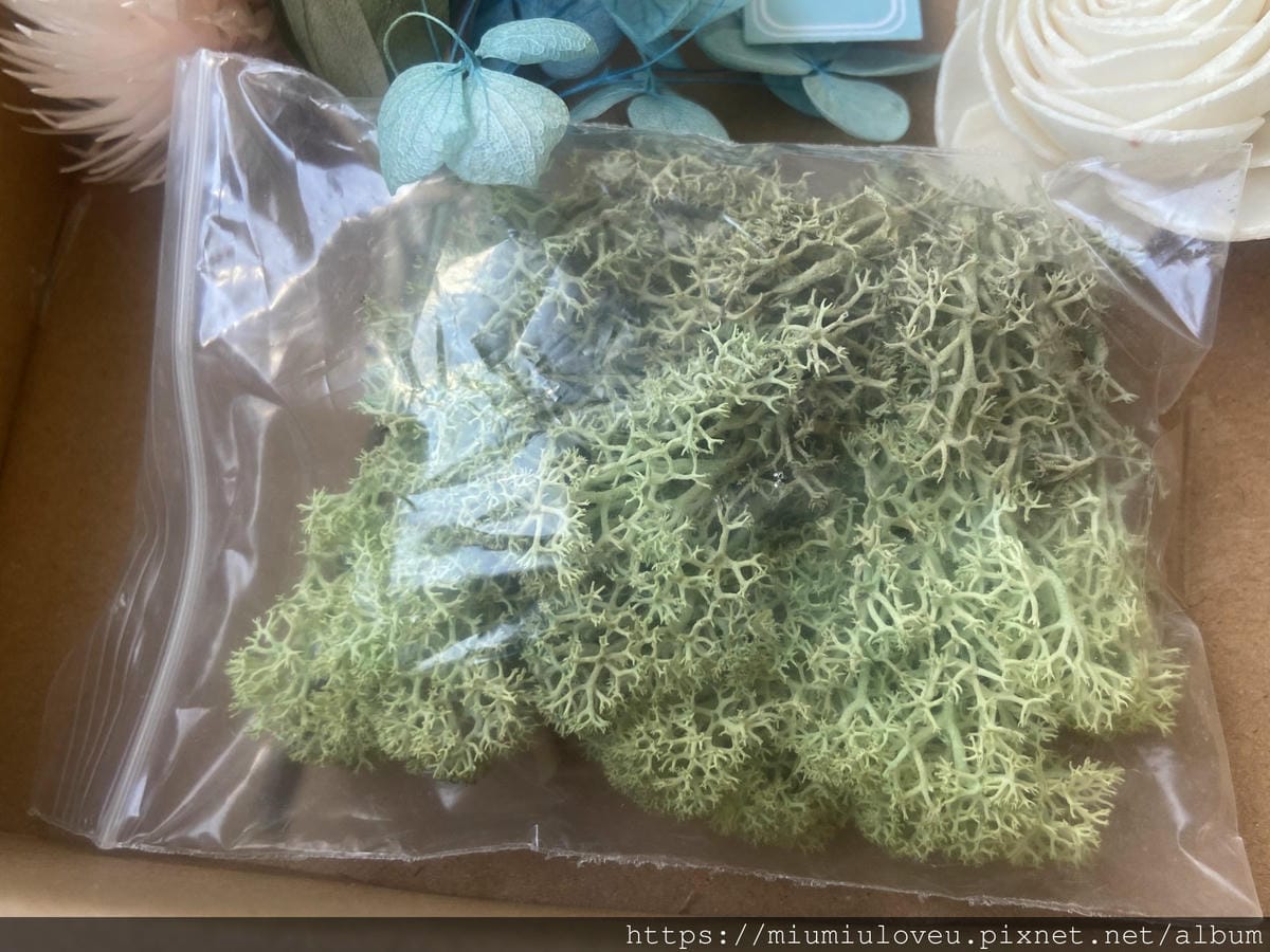 IMG_8978_副本.jpg IMG_8978_副本.jpg