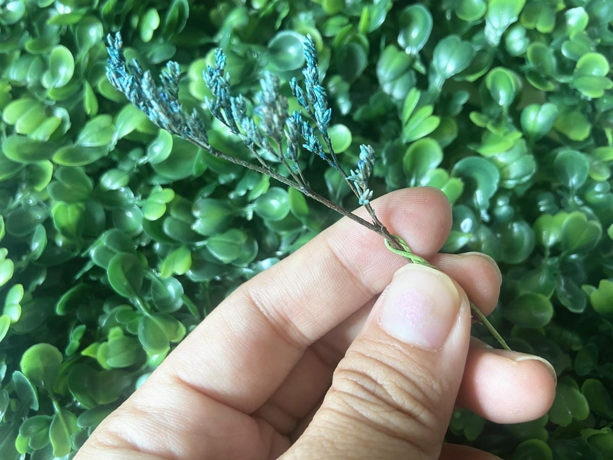 IMG_9306_副本.jpg IMG_9306_副本.jpg