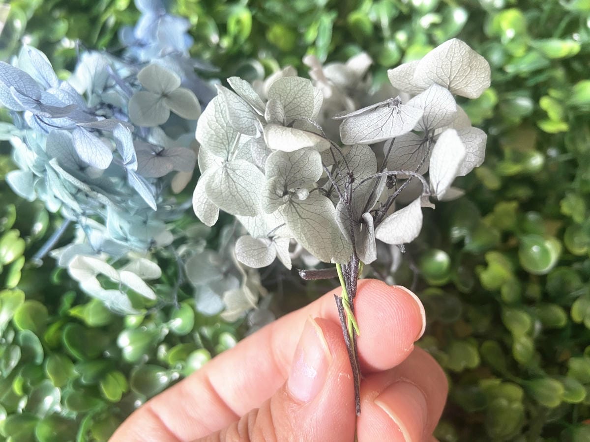 IMG_9310_副本.jpg IMG_9310_副本.jpg