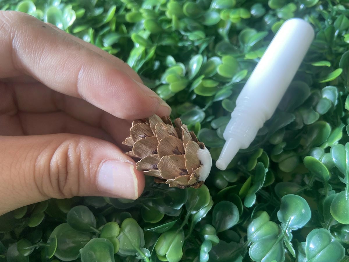 IMG_9313_副本.jpg IMG_9313_副本.jpg