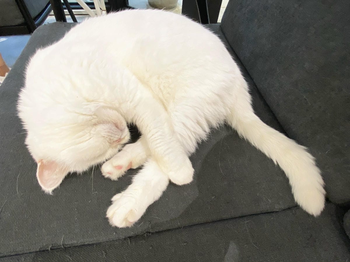 精萃髮廊 (100).jpg 精萃髮廊 (100).jpg