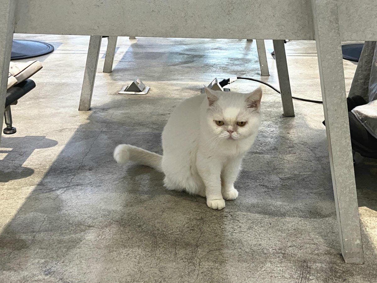 精萃髮廊 (26).jpg 精萃髮廊 (26).jpg