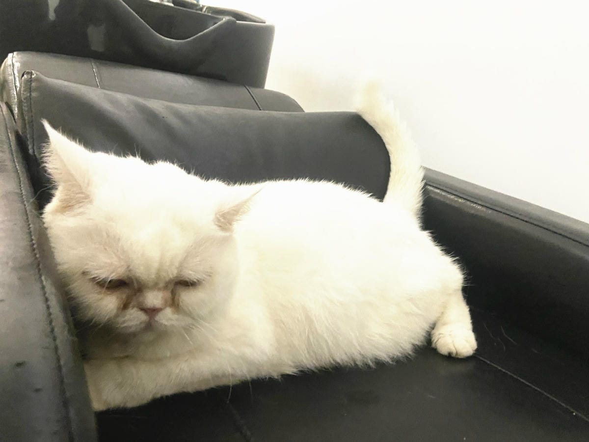 精萃髮廊 (19).jpg 精萃髮廊 (19).jpg