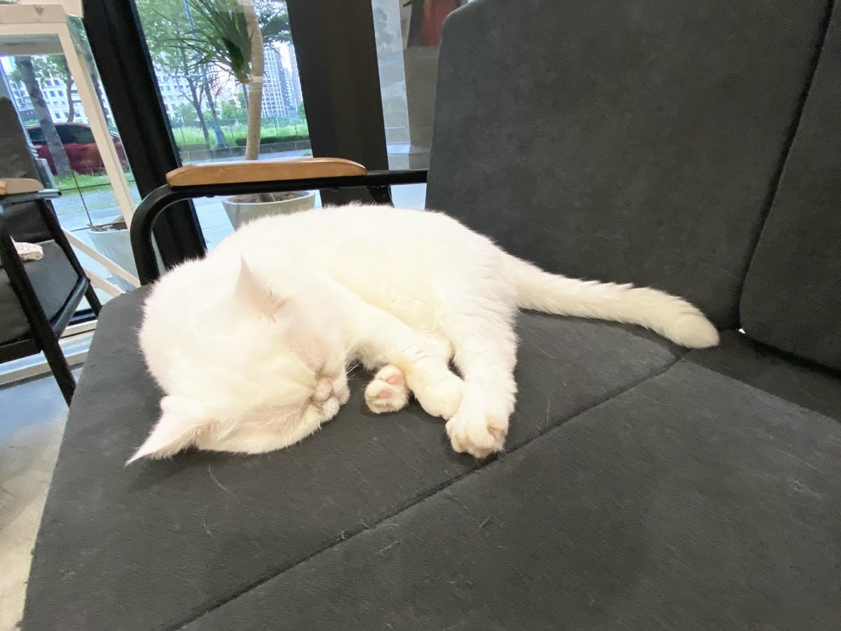 精萃髮廊 (99).jpg 精萃髮廊 (99).jpg