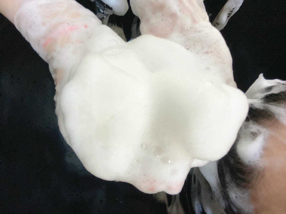 IMG_0939_副本.jpg IMG_0939_副本.jpg