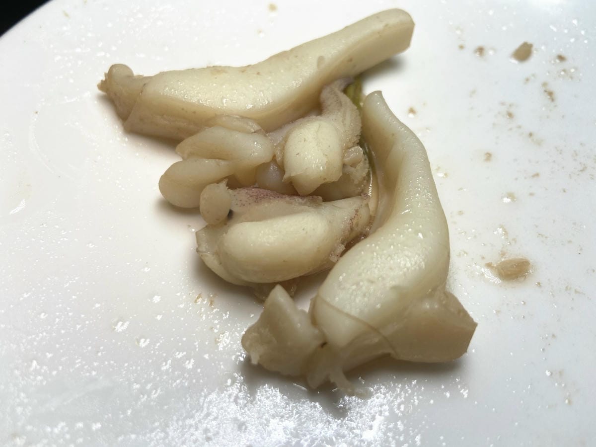 肉多多集團狂一鍋 (59).jpg 肉多多集團狂一鍋 (59).jpg