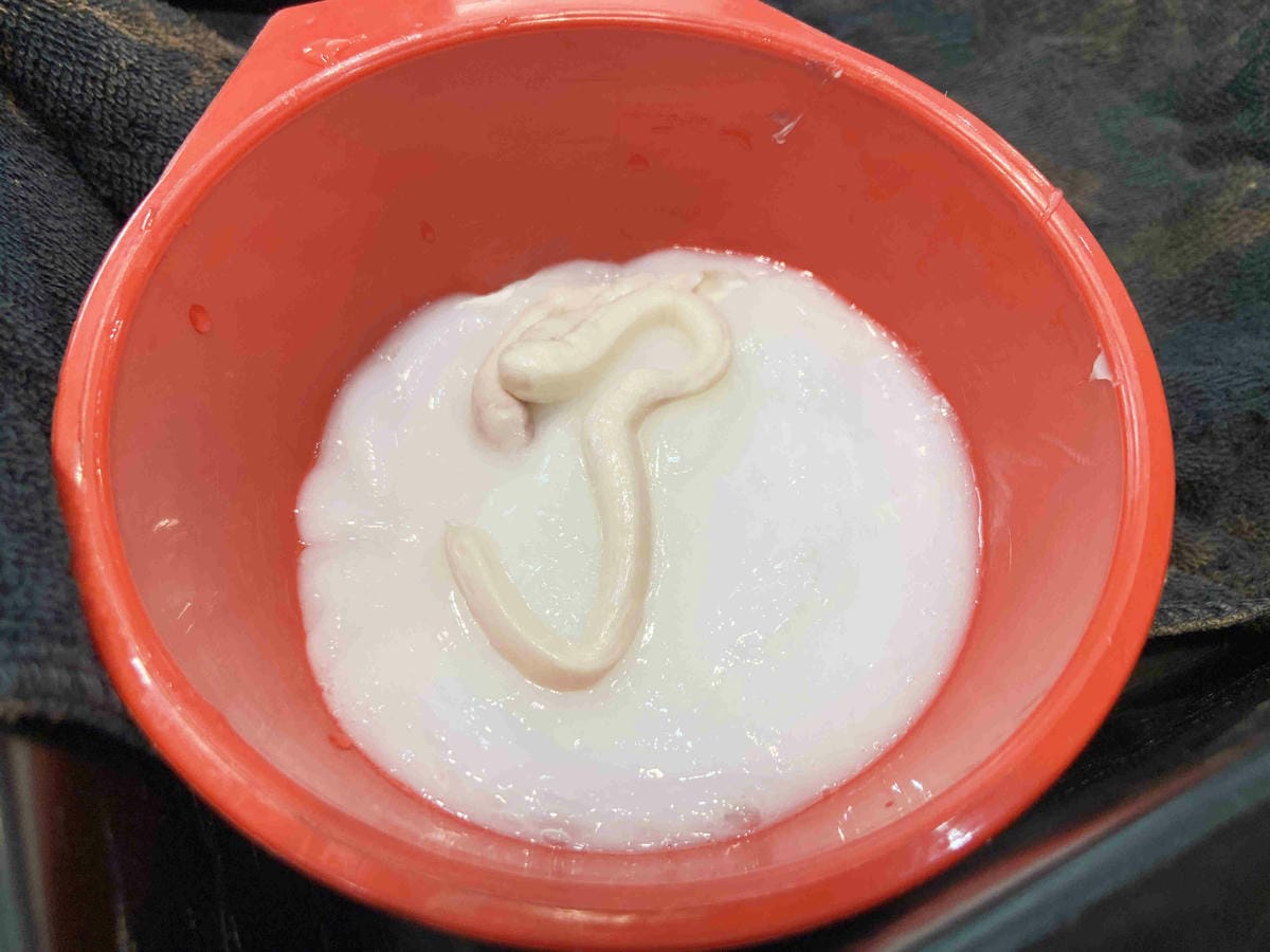 FIN (48).jpg FIN (48).jpg