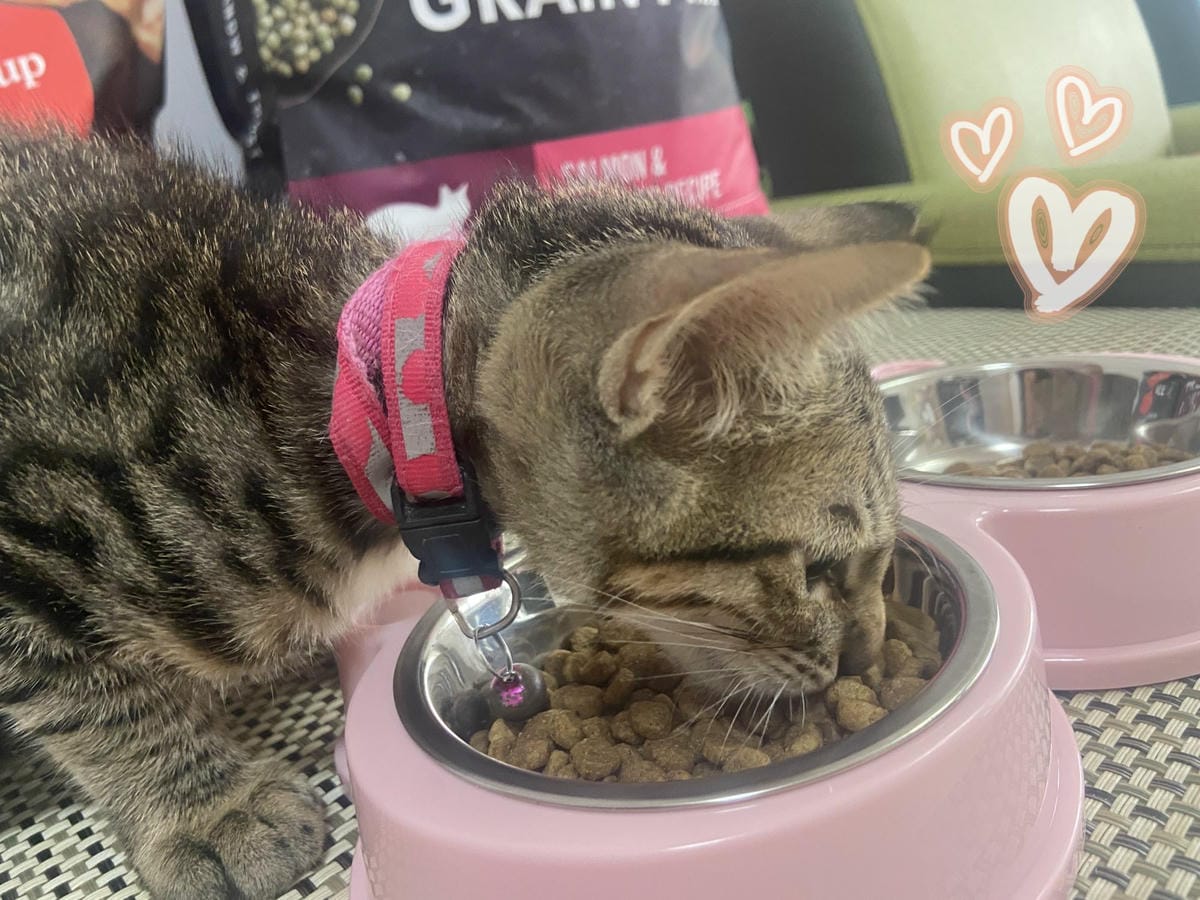 心靈機湯 (29).jpg