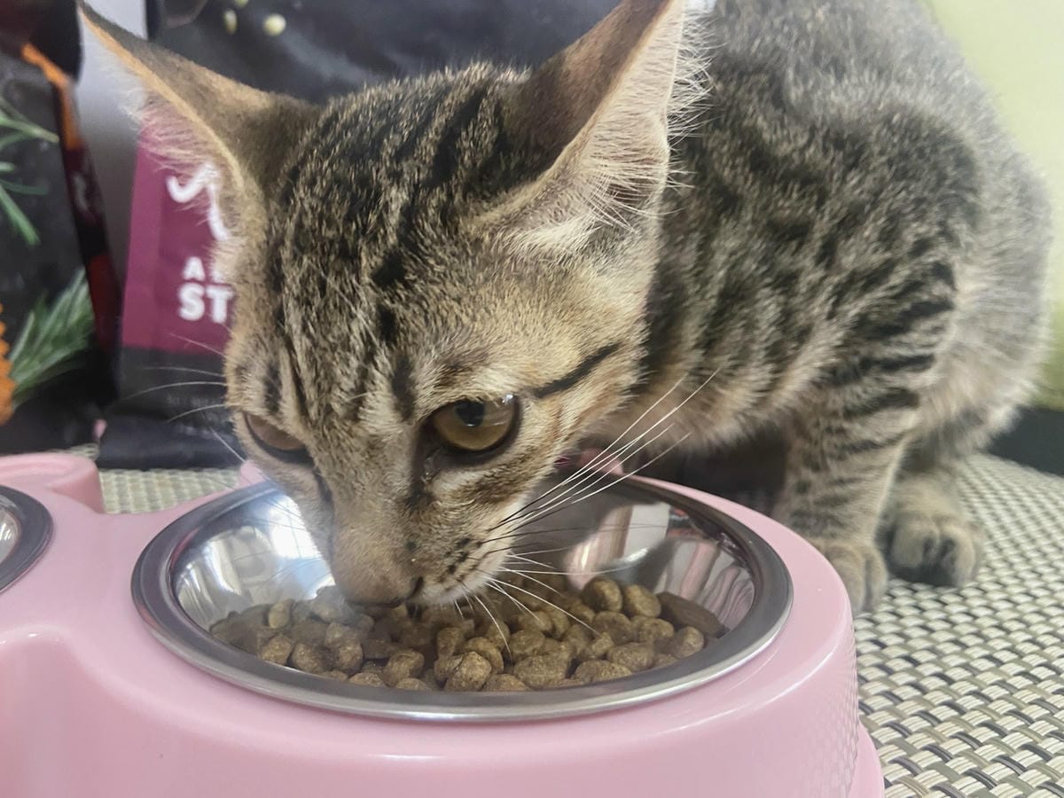 心靈機湯 (32).jpg