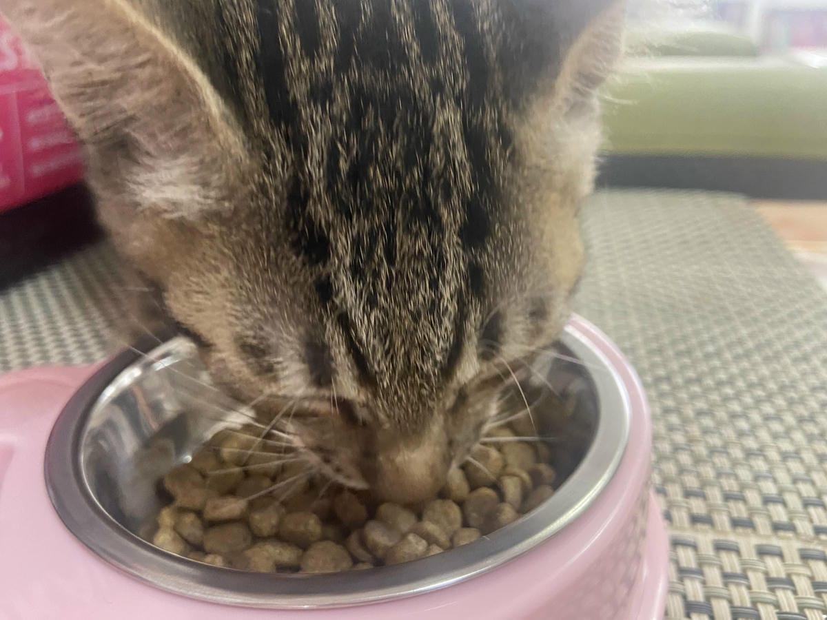 心靈機湯 (33).jpg