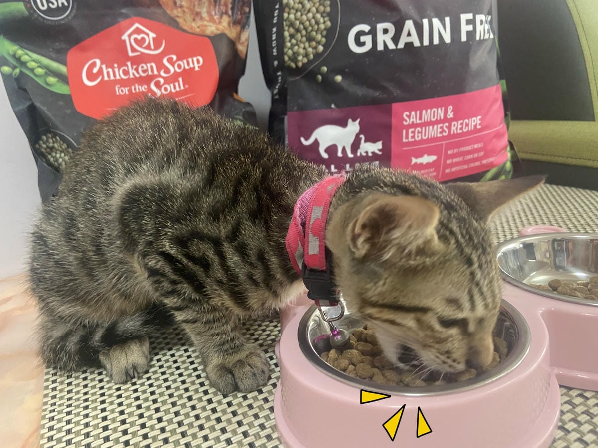 心靈機湯 (28).jpg