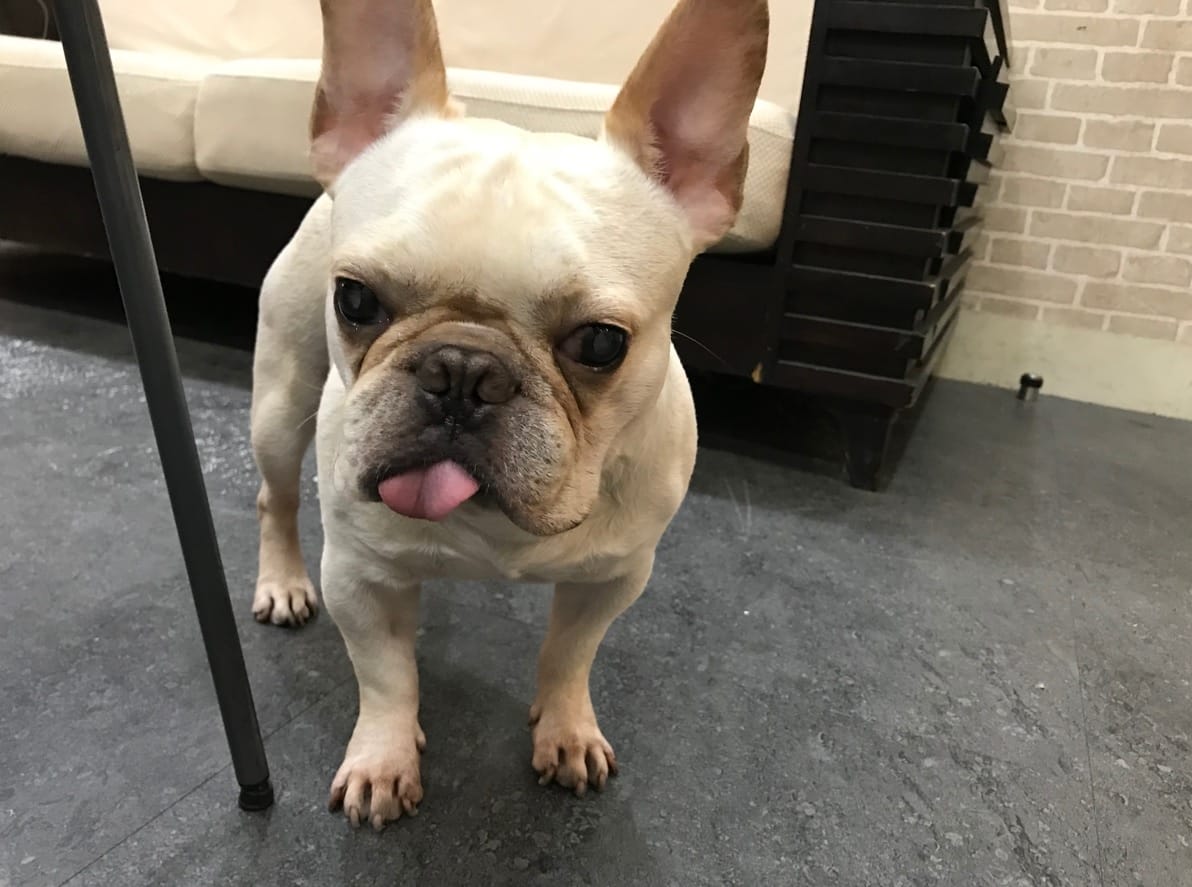 ACEFIX (28).jpg ACEFIX (28).jpg