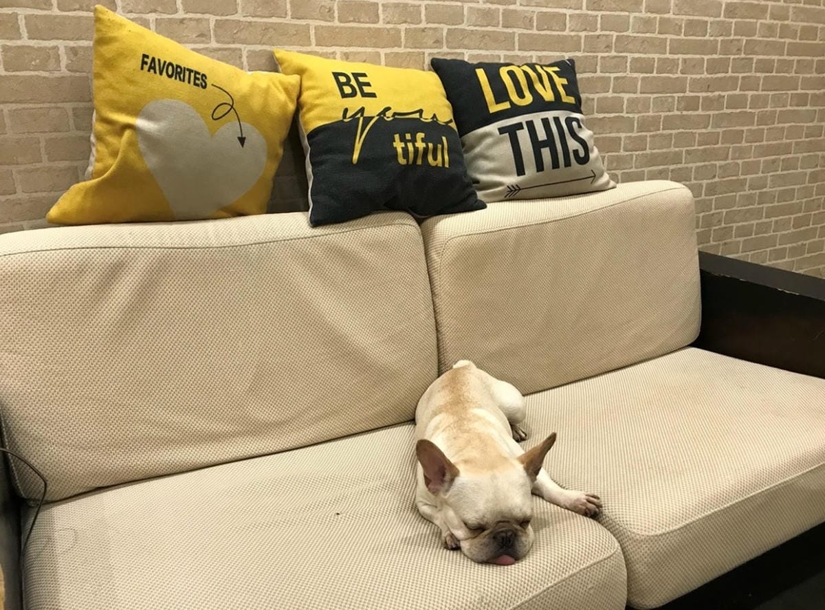 ACEFIX (14).jpg ACEFIX (14).jpg