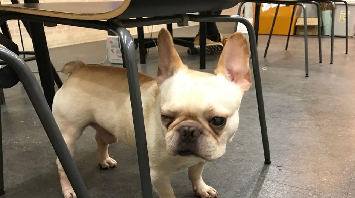 ACEFIX (26).jpg ACEFIX (26).jpg