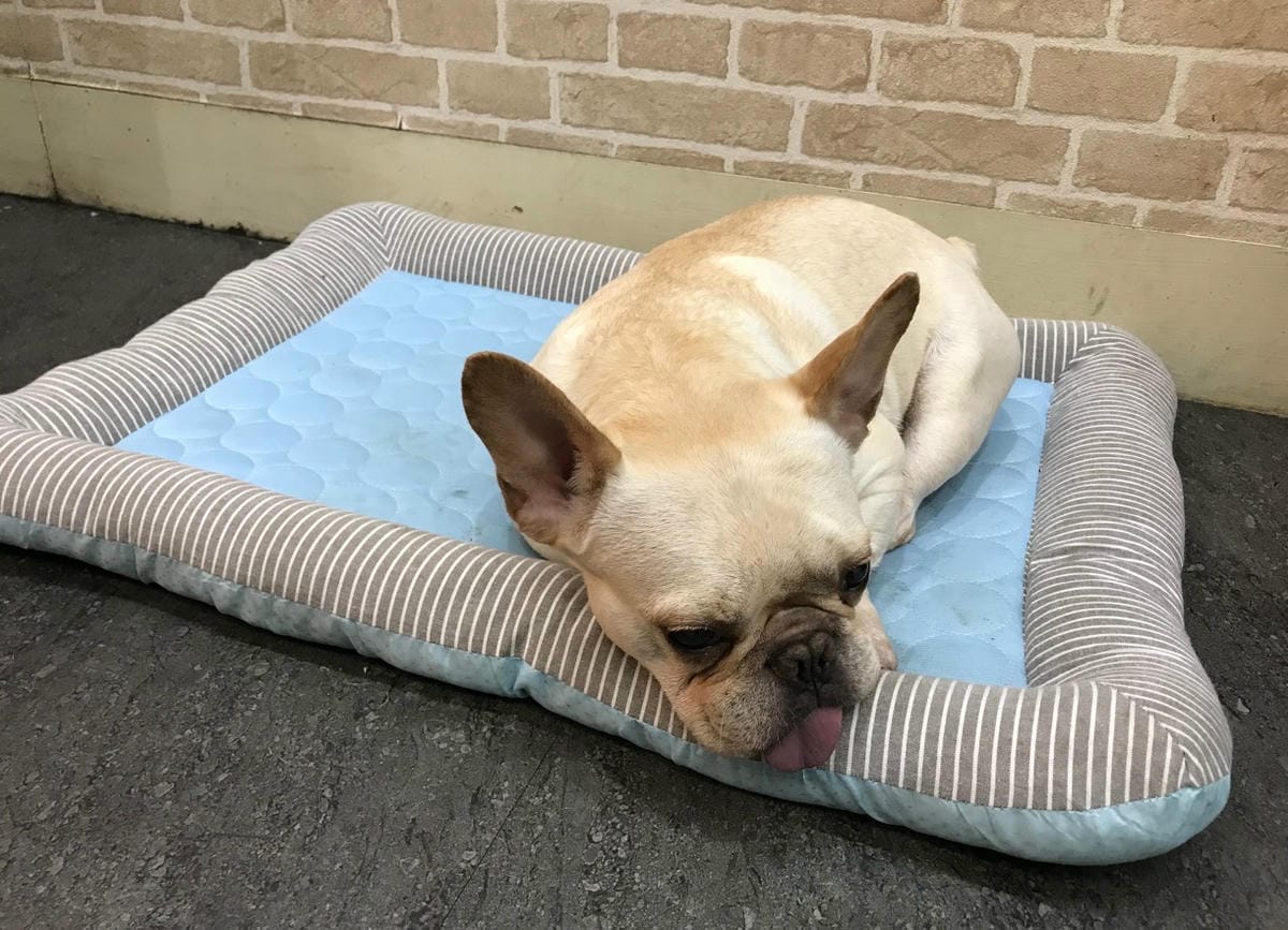 ACEFIX (47).jpg ACEFIX (47).jpg