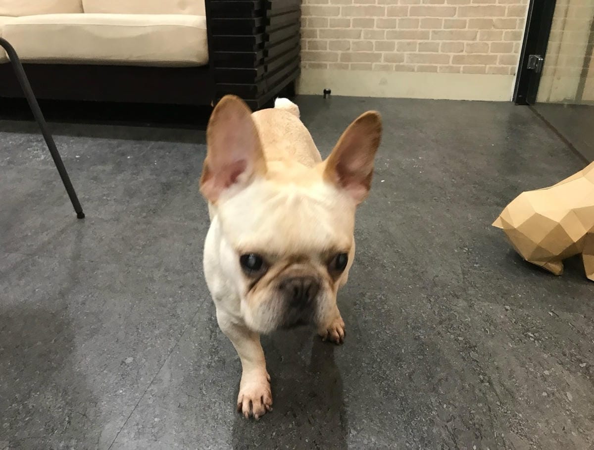 ACEFIX (25).jpg ACEFIX (25).jpg